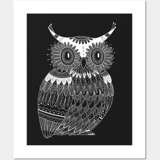 White owl with dark background Posters and Art